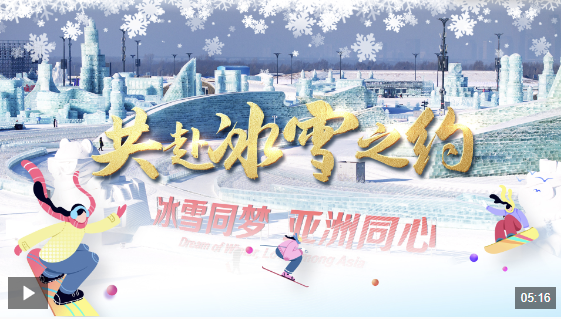 季最具看点